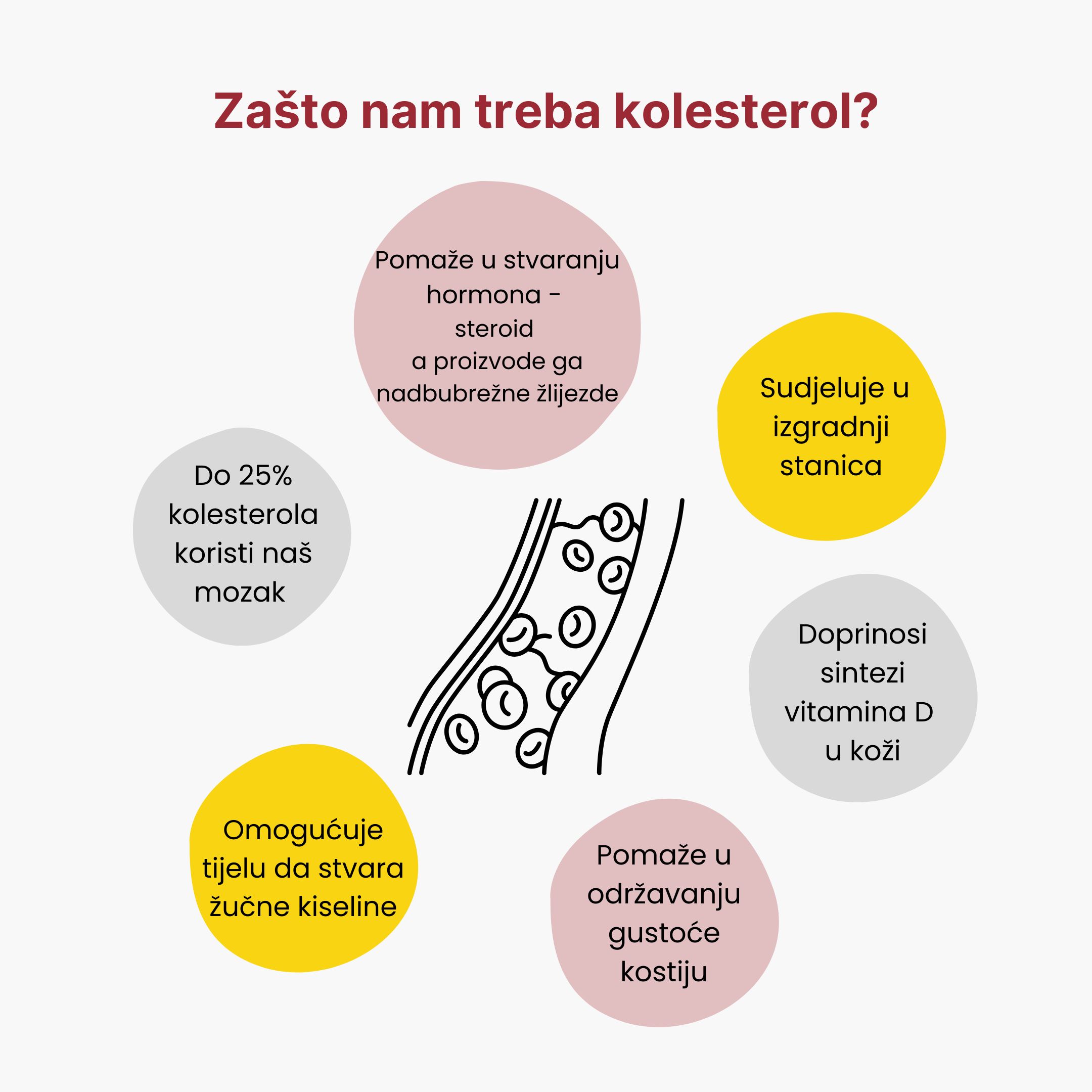 (Chorvatština) Proč potřebujeme cholesterol (1)